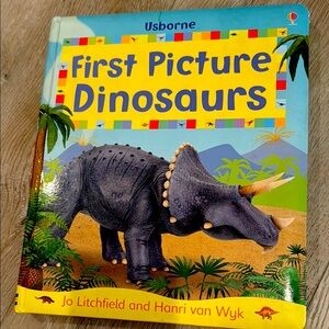 USBORNE Colorful Dinosaur Picture Book
